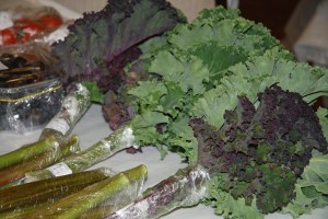 Garden produce at Clitheroe Country Market