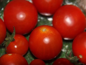 Home grown tomatoes from Clitheroe Country MArket